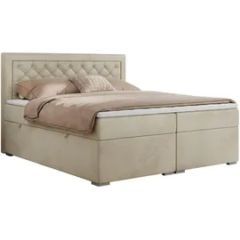 MKS Boxspringbett 160 x 200 cm H4 Beige