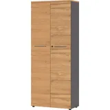 GERMANIA Aktenschrank Agenda Home, 4237-564 grafit, grandson-eiche 4 Fachböden 80,0 x 40,0 x 197,0 cm