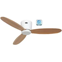 CasaFan ECO PLANO II 112 WiFi Flügel Eiche natur