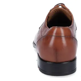 LLOYD Osmond braun 40