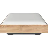 Rauch Futonbett RAUCH "Phoenix", braun (struktureichefarben hell), B:145cm H:41cm L:206cm, Betten, Futonbett, ohne Kopfteil