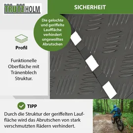 Trutzholm 1 x Auffahrrampe klappbar 228cm Traglast 680kg