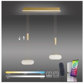 Q-Smart-Home Paul Neuhaus Q-ETIENNE LED-Hängelampe 2fl, messing