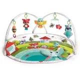 Tiny Love Meadow Days Dynamic Gymini