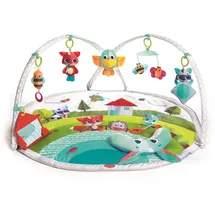 Tiny Love Meadow Days Dynamic Gymini