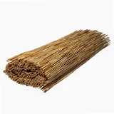 WERKA PRO Schilfrohrmatte 1 x 5 m