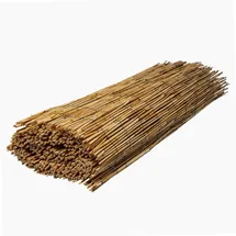 WERKA PRO Schilfrohrmatte 1 x 5 m
