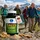 VitalLife Weihrauch Boswellia Sacra GOLD 180 Kapseln