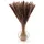 Blumtal Pampasgras Trockenblumen - 100 Stück, 58-60 cm, für Trockenblumenstrauß oder Deko, Boho Style in Naturbraun