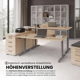 bümö Schreibtisch XDLR Eiche / Weiß