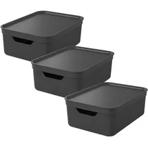 Rotho Jive 3er-Set Aufbewahrungsbox 10l mit Deckel, Kunststoff, anthrazit