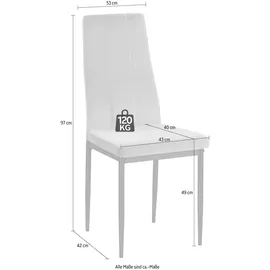 INOSIGN »Remus«, Set 4 St., Samtvelours, im 1er,2er und 4er Set erhältlich, unterschiedliche Bezugsqualitäten