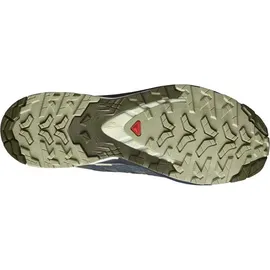 Salomon Herren Xa Pro 3D V9 GTX Schuhe (Größe 43