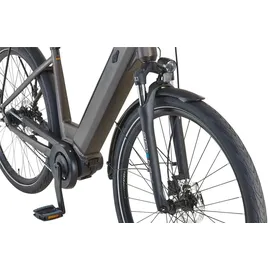 Prophete Geniesser 3.3 28 Zoll RH 48 cm Matt Bronze
