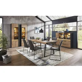 Möbel Kraft Vitrine Light Line 10 56 x 40 x 196 cm Holzfarben