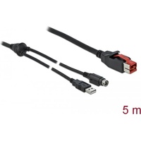DeLock Powered USB-Kabel 5 m),
