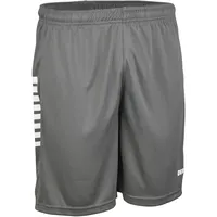 Derbystar Madrid Trainingsshorts grau/weiß XXL