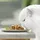 Purina GOURMET Gold Feine Komposition Multipack (8x85 g)