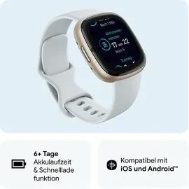 Fitbit Sense 2 softgold/nebelblau