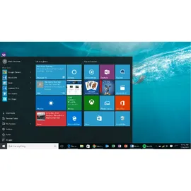 Microsoft Windows 10 Pro USB-Stick OEM DE
