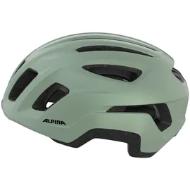 Alpina Paranus Urban 55-59 cm Herren willow-green matt 2021
