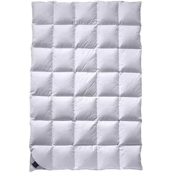 Billerbeck Ambiente Daunendecke Mono