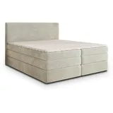masseno MATERN 160 x 200 cm H2 Creme
