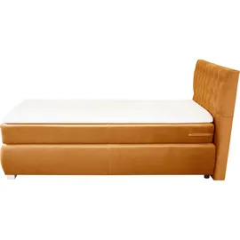 LEONIQUE Boxspringbett LEONIQUE "Rumba", gold (goldfarben), B:100cm L:213cm, Samtoptik (100% Polyester), Komplettbetten, Boxspringbett Seniorenbett Polsterbett, Taschenfederkern-Matratze in Härtegrad 3, in 4 Breiten, incl. Topper