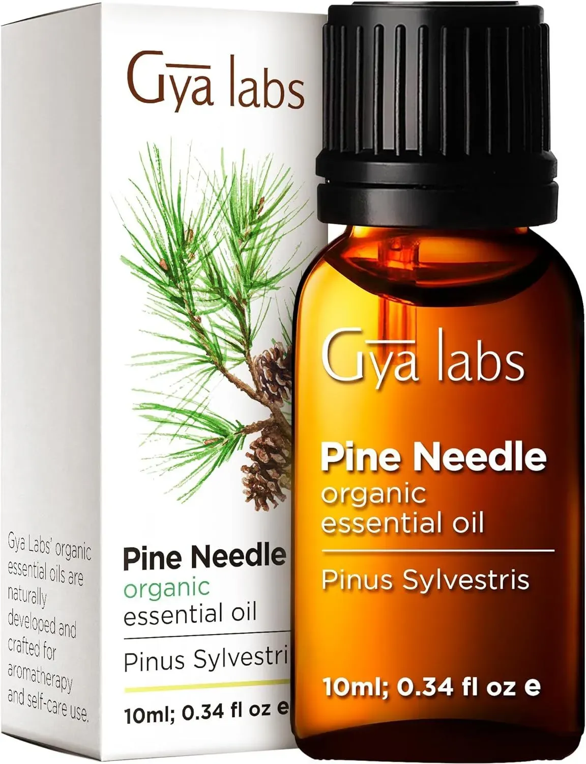 Gya Labs Ätherisches Kiefernöl für Diffuser 10 ml