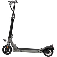 L.A. Sports Speed Deluxe 7.8-350 ABE grau