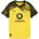 Borussia Dortmund Replica 2025 116