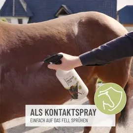 reavet Bremsen Stop Fliegenspray Pferde 1 l