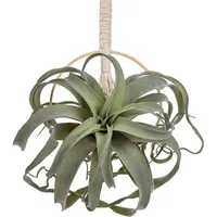 luxuskollektion Kunstpflanzen Sukkulenten Baumwollseil Dekoration Type 10