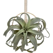 luxuskollektion Kunstpflanzen Sukkulenten Baumwollseil Dekoration Type 10