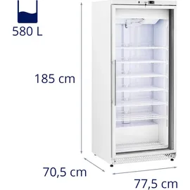 Royal Catering Gefrierschrank - 580 L - - Glastür - Silbern - Kältemittel R290