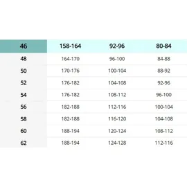 Reis FORECO-T BJS62 Arbeitshosen Männer, Arbeitshose, Schnittschutzhose, Arbeithose Herren, Schwarz Hellgrau, 62 Größe