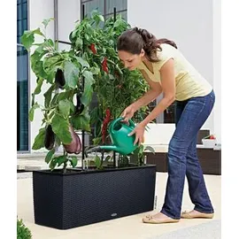 LECHUZA Trio Cottage 30 Komplettset 100 x 32 x 34 cm graphitschwarz