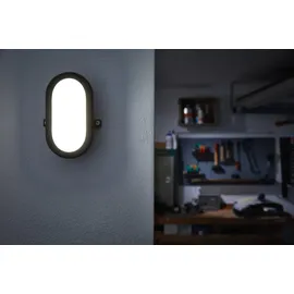 LEDVANCE LED Bulkhead schwarz LEDBULKHEAD11W840BK