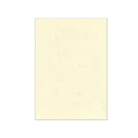 RNK Motivpapier Elefantenhaut A3 190 g/m2 10 Blatt