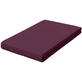 schlafgut Frottex 120 x 200 - 130 x 200 cm purple deep