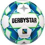 derbystar Unisex – Erwachsene Gamma TT Trainingsball, Weiss, 5