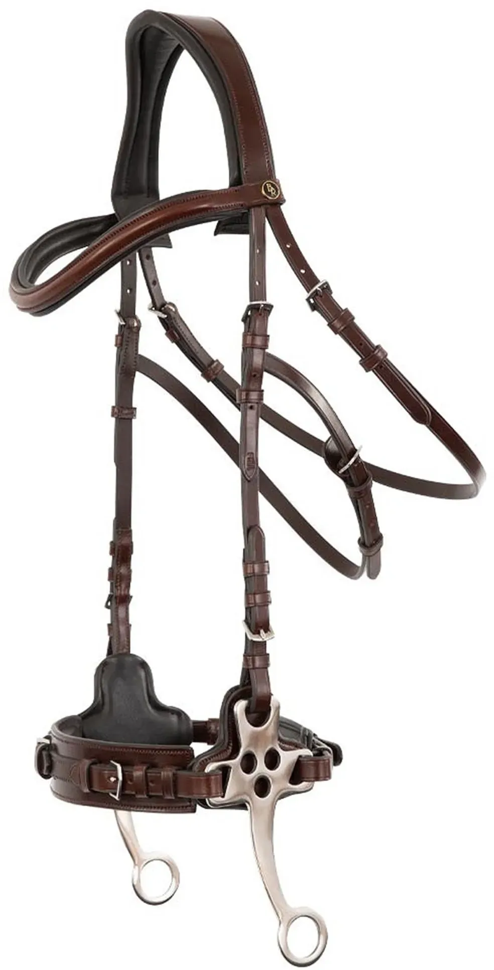 BR Lydney anatomisches Hackamore
