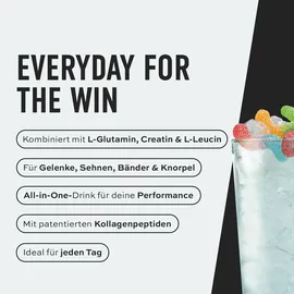 ESN Daily Himbeere Drink 480 g