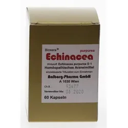 Echinacea Aalborg 60 ST