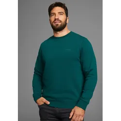Sweatshirt, Langarm, Basic-Stil, unifarben, Rundhalsausschnitt, Gr. XXXL (64/66), dunkelgrün, , 76653758-XXXL