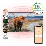 Klarstein Infrarotheizung, Infrarot Heizung mit IoT/WiFi App-Steuerung, Erkennung Offener Fenster, Infrarotheizung mit Thermostat, Heizung zur Wand... - Bunt