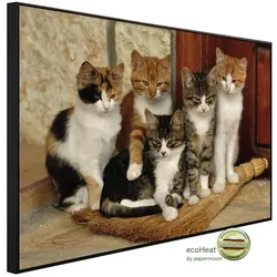 papermoon Infrarotheizung »EcoHeat - Süsse katzen«, Matt-Effekt - bunt