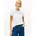 TH SCRIPT Regular Fit XXXL