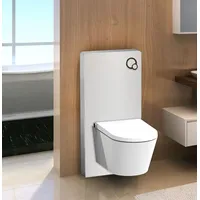 Impex-bad Weißglas Sanitärmodul für Wand-WC inkl. Betätigungsplatte