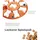 Outward Hound Nina Ottosson Dog Smart ø 27,9 cm Orange